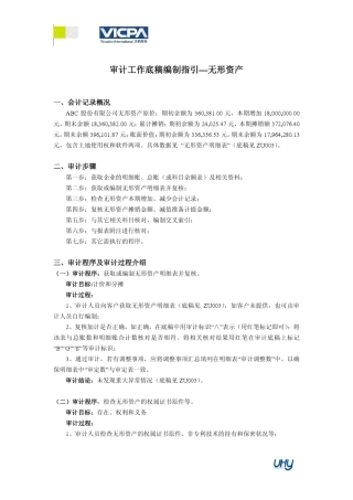 19审计工作底稿编制指引无形资产