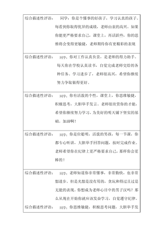 1综合描述性评语