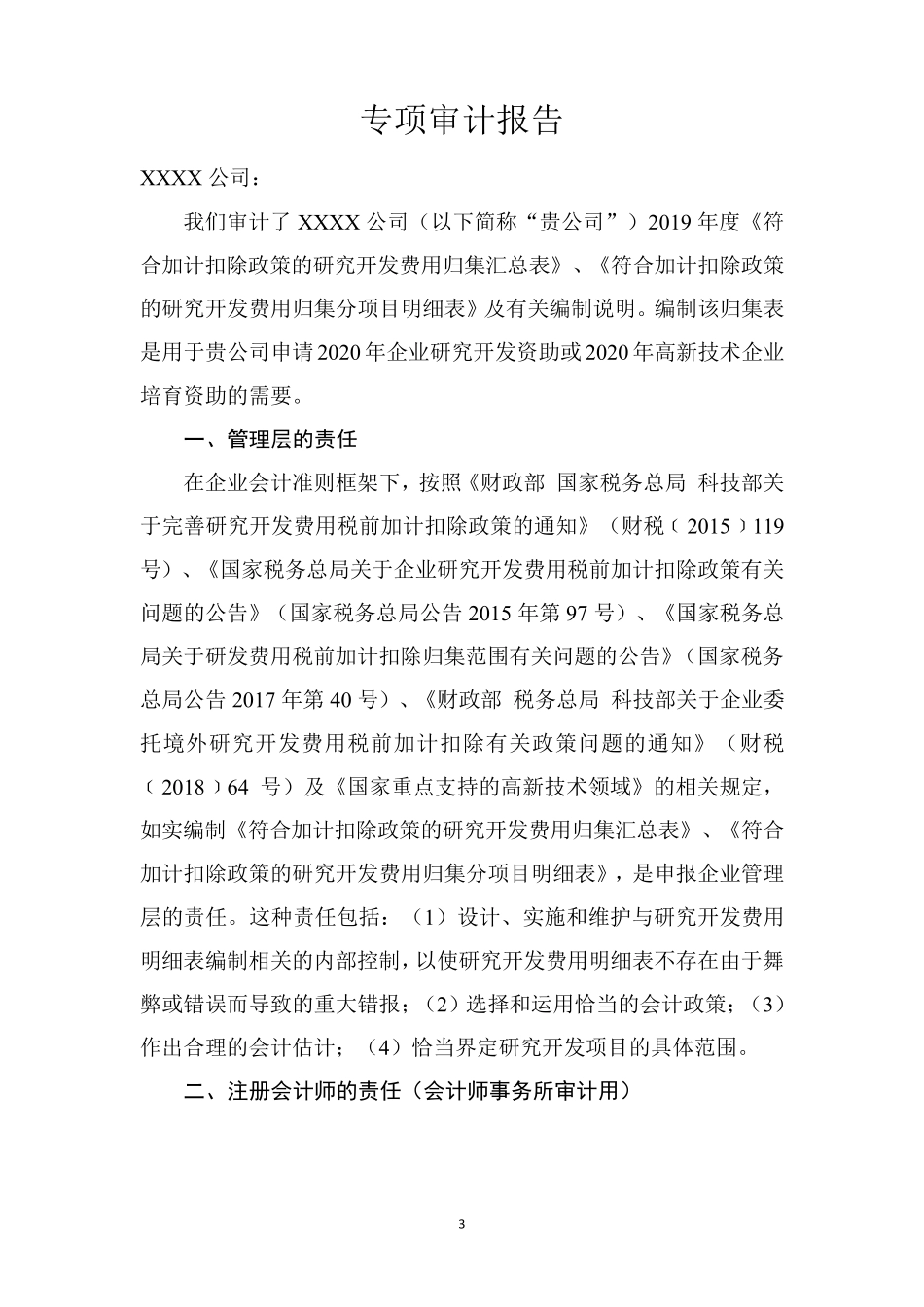 2.2019年度研发费用专项审计报告模板_第3页