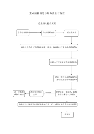 2.3.4.2重点病种急诊服务流程与规范(二甲复审整理后)