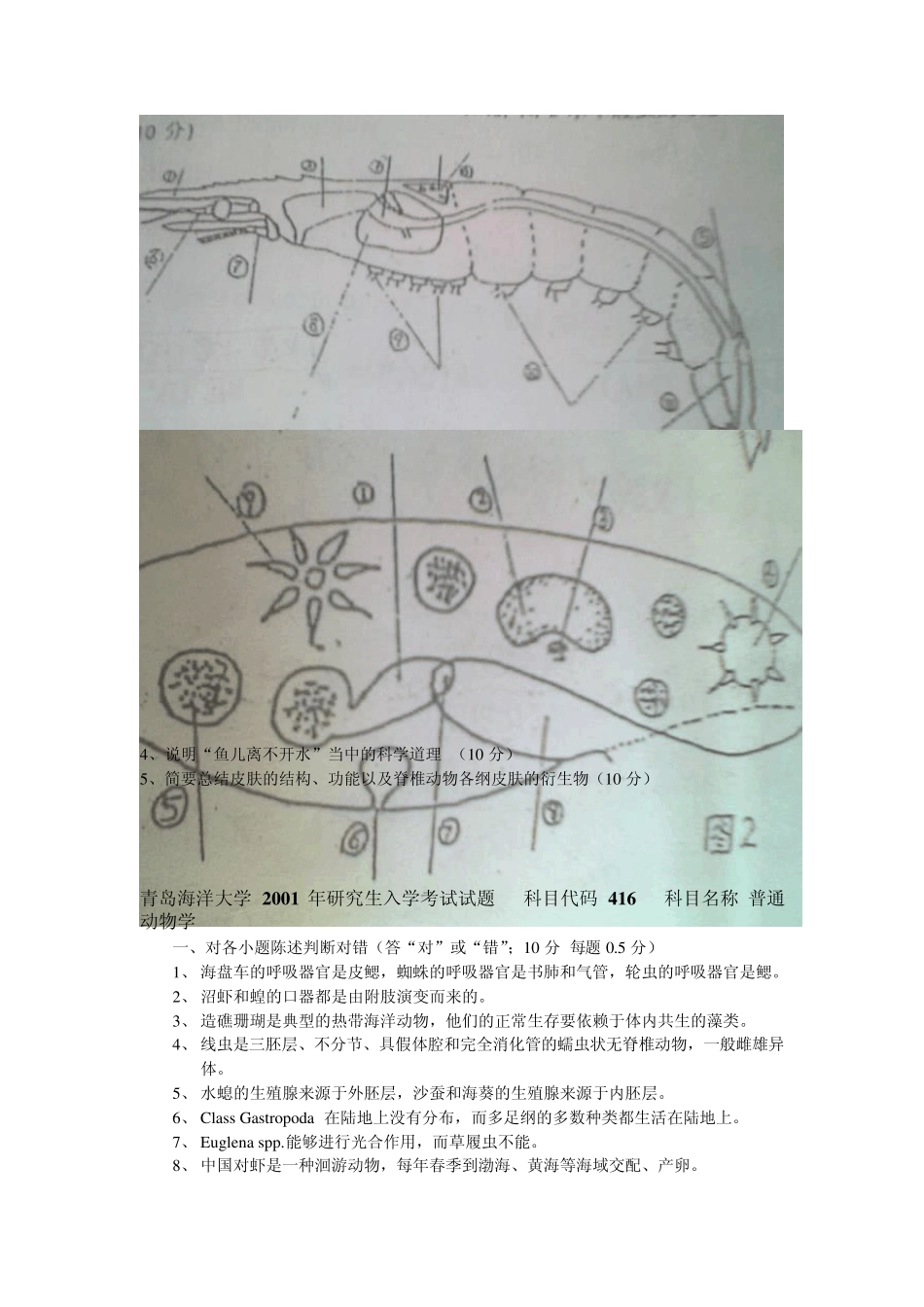 2000200820092010年416普通动物学与普通生态学考研真题(精心整理分版排列部分有答案)_第3页