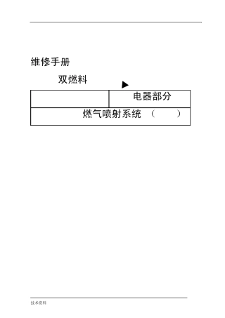 2002年一汽大众捷达CNG双燃料系统(DreamXXI)维修手册(电器部分)