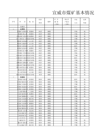 20051222104143562宣威市煤矿基本情况调查表
