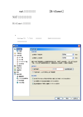 nat网关添加端口映射[BitComet]