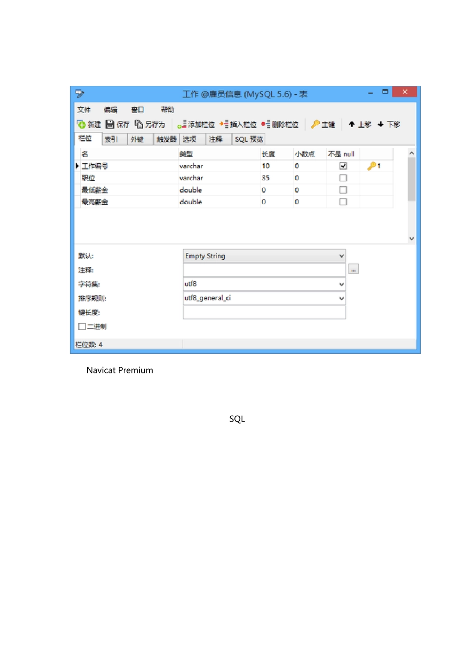 NavicatPremium主要功能介绍_第2页