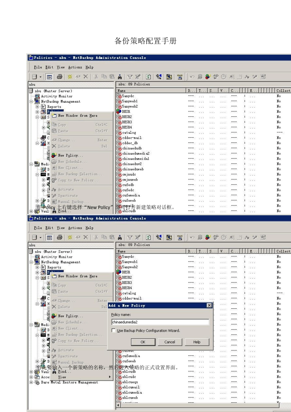 NBU备份策略配置手册_第1页