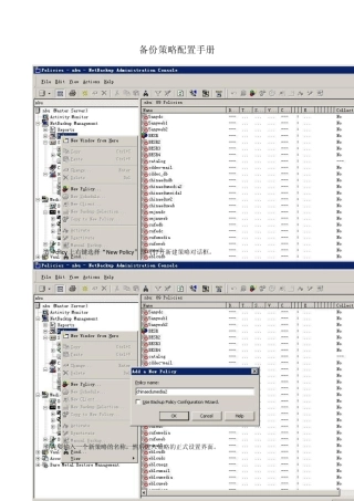 NBU备份策略配置手册