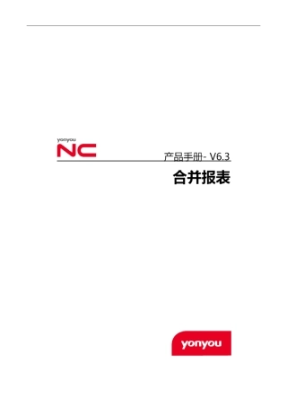 NC6.3,产品手册,合并报表