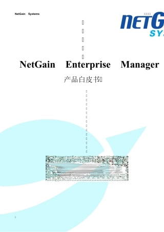 NetGainIT运维监控白皮书
