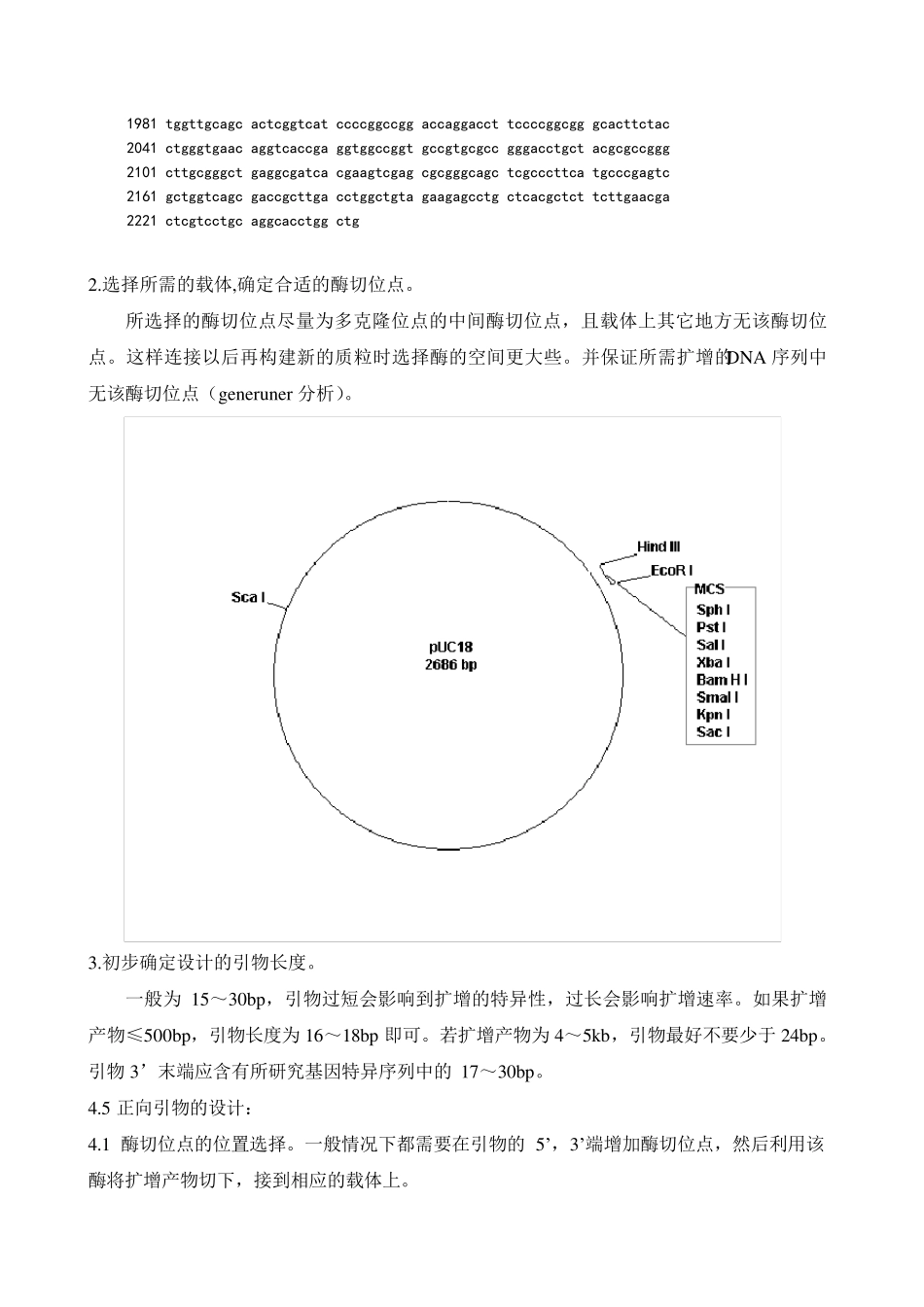PCR引物设计基本思路_第2页
