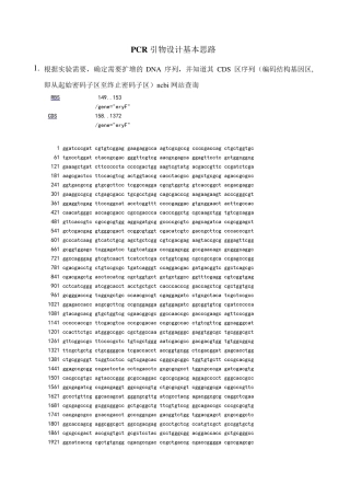 PCR引物设计基本思路