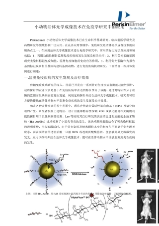 PE小动物活体成像在免疫学的应用