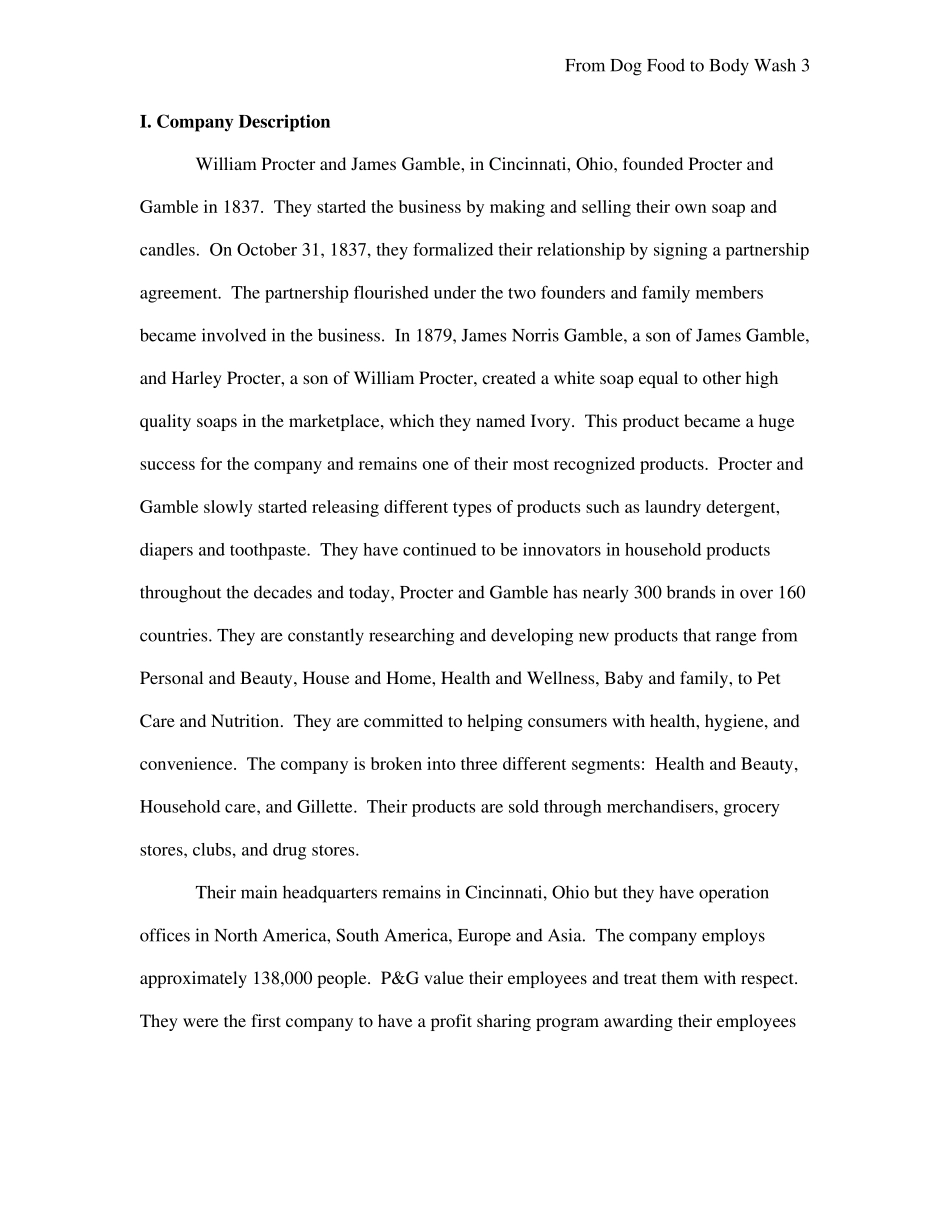 pgpaper宝洁全英文介绍_第3页