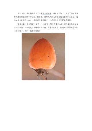 Photoshop入门实例通道的加工手法