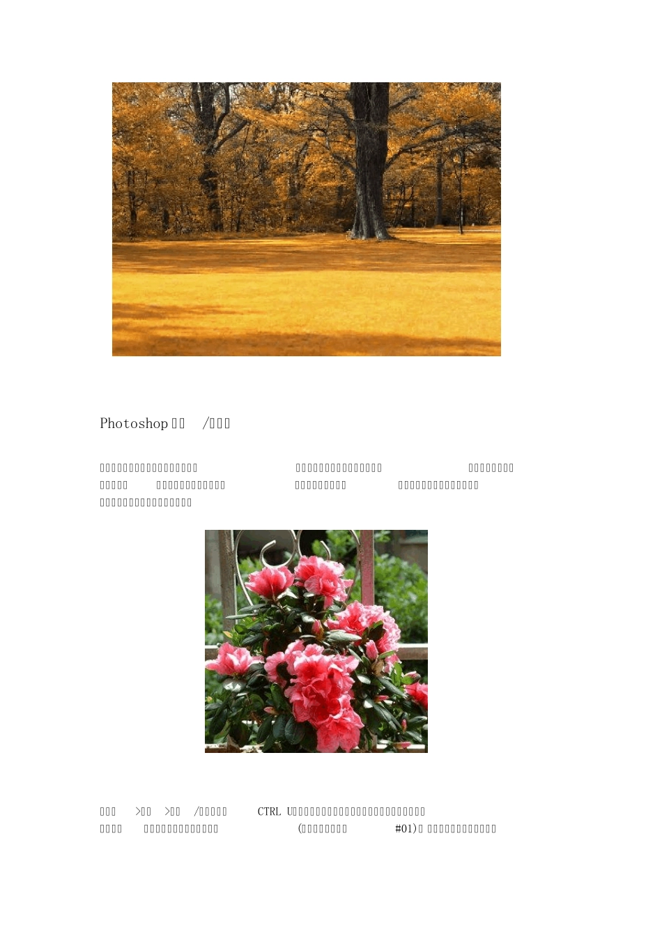 Photoshop数码后期处理大全ps教程大全_第3页