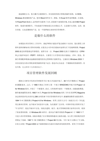 Project_2003使用说明