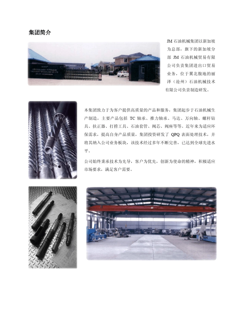 QPQ深层盐浴复合处理技术_第2页