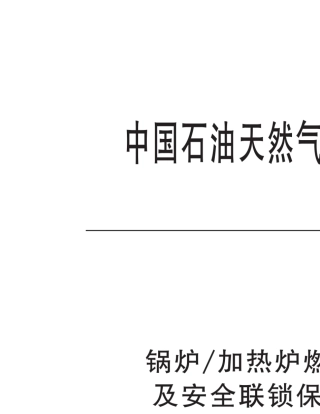 Q_SY18362015锅炉加热炉燃油(气)燃烧器及安全联锁保护装置检测规范