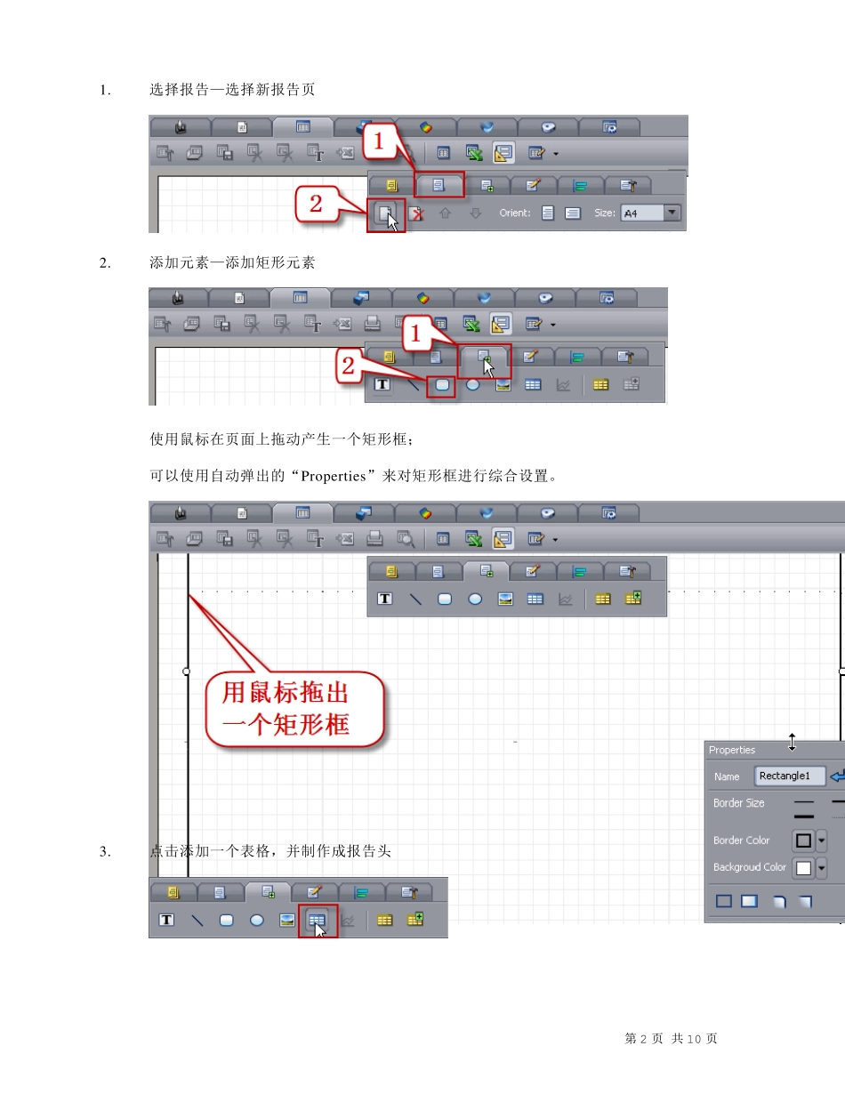 RationalDmis自定义报告_第2页