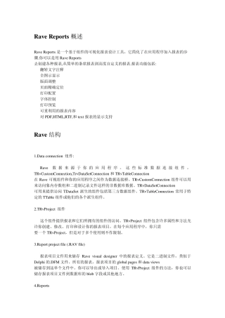 RaveReports概述