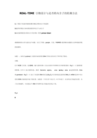 REALTIME引物设计与是否跨内含子的检测方法