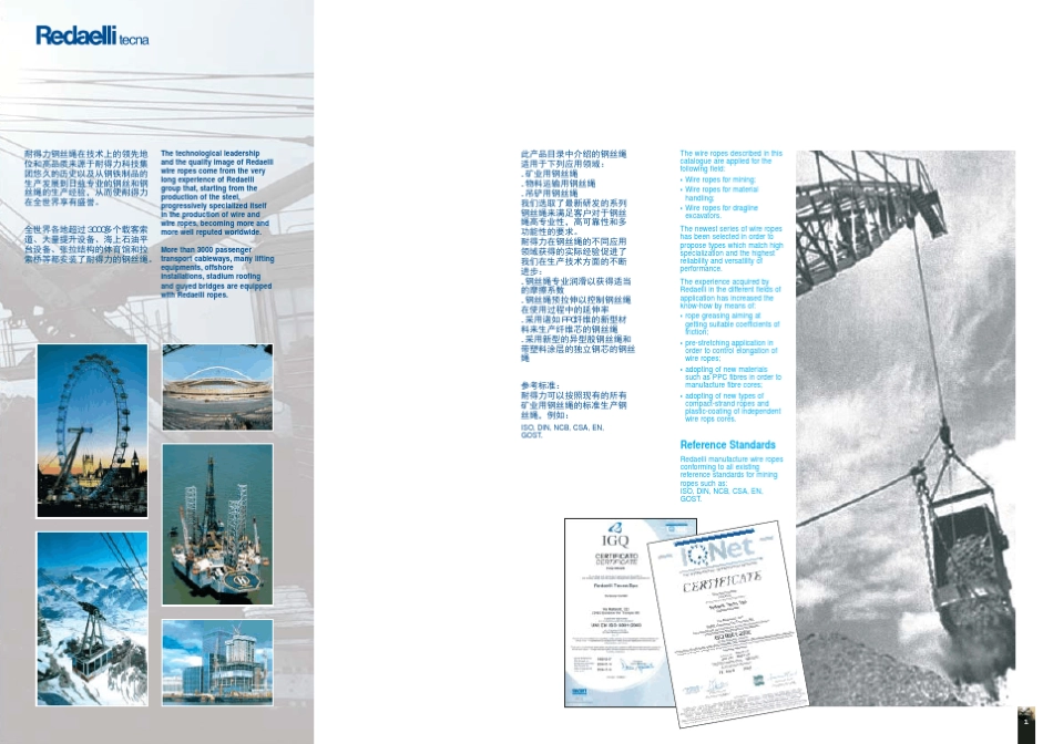 Redaelli矿业专用特种钢丝绳样本_第2页