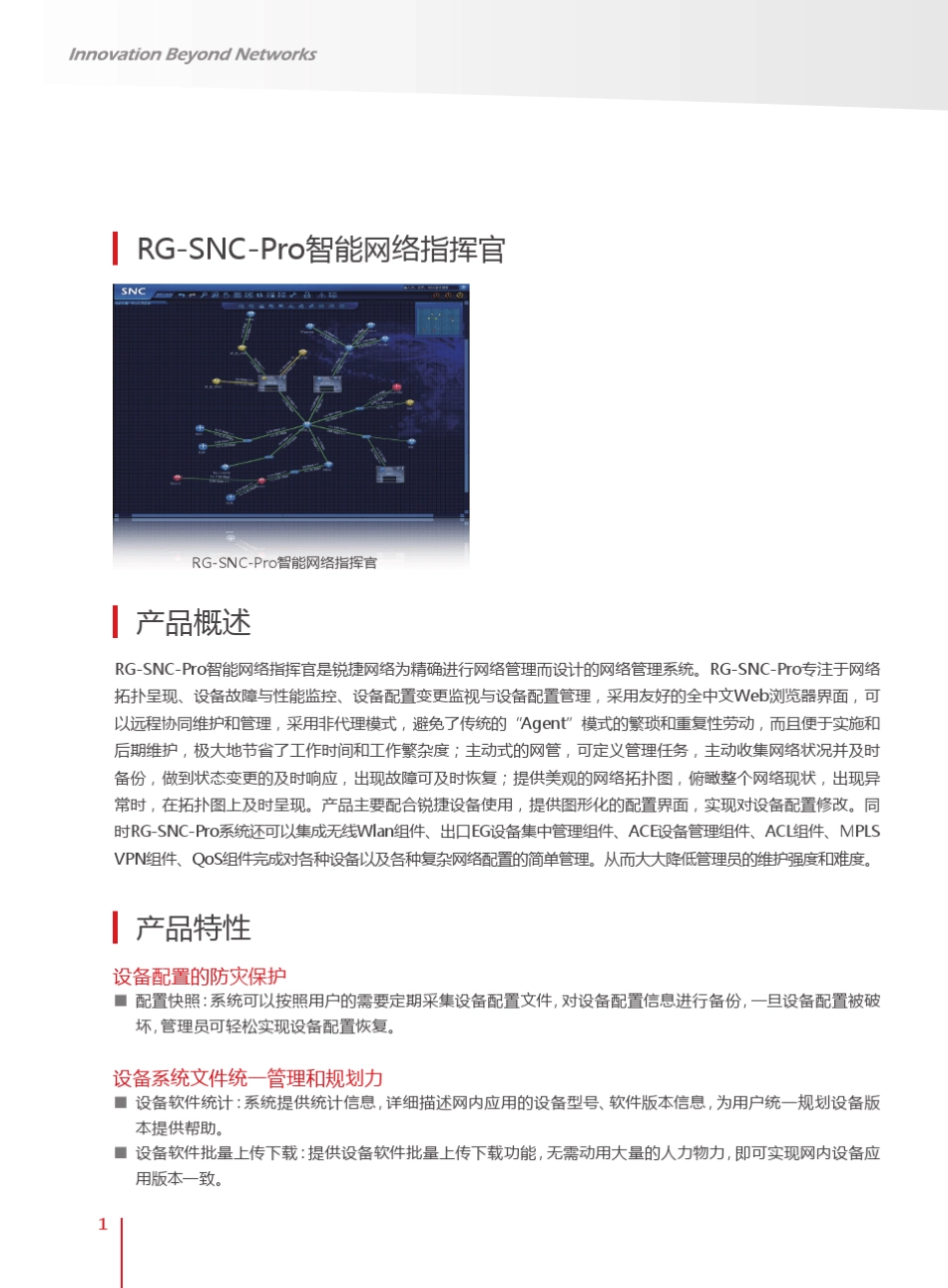 RGSNCpro智能网络指挥官20110316_第2页