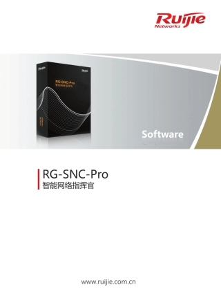 RGSNCpro智能网络指挥官20110316