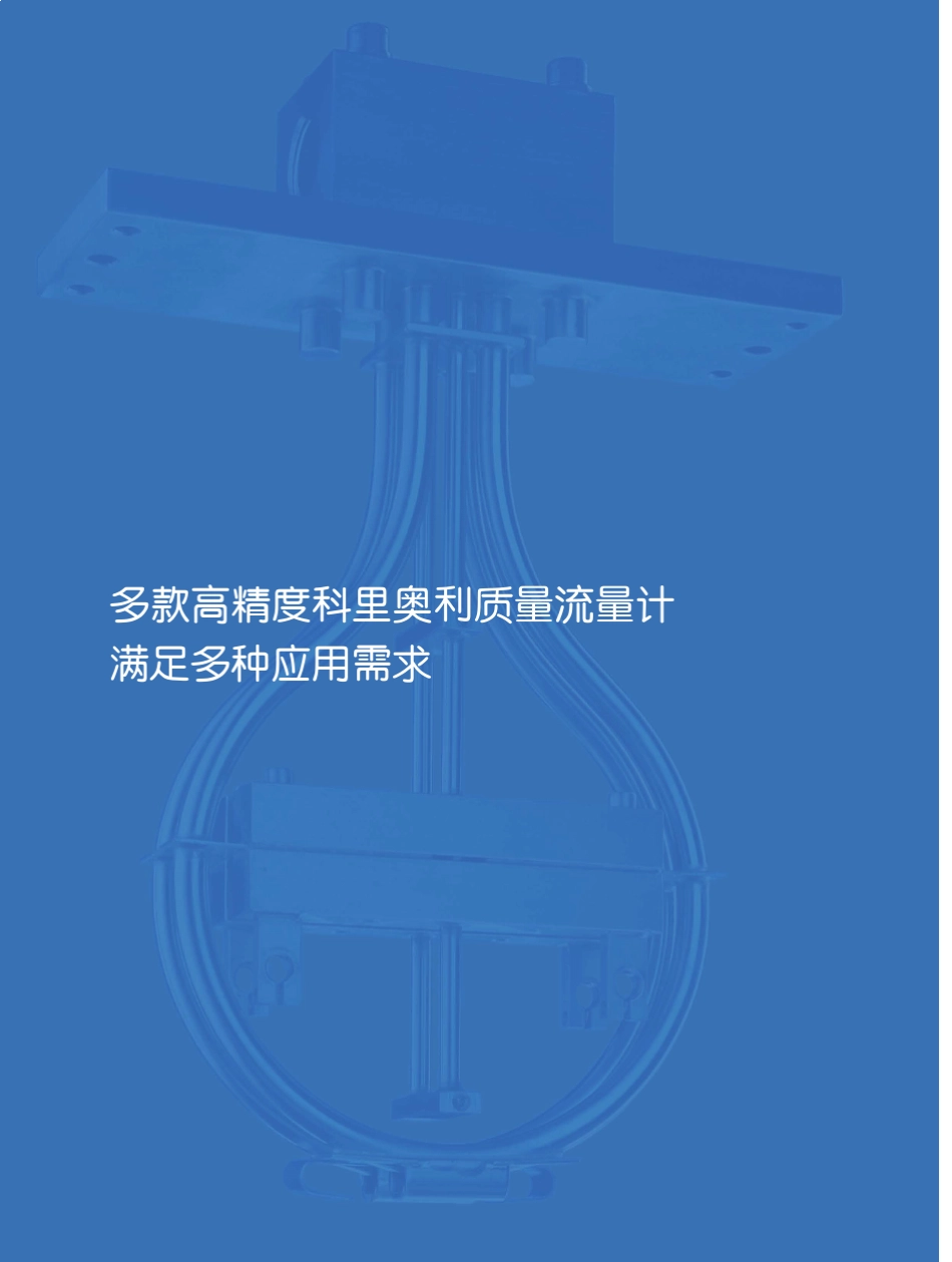 Rheonik中文样本_第2页