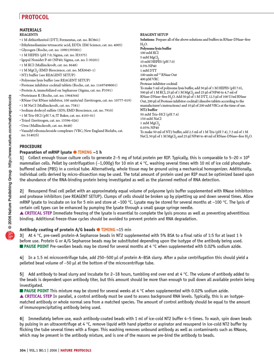 RNAimmunoprecipitationprotocol_第3页
