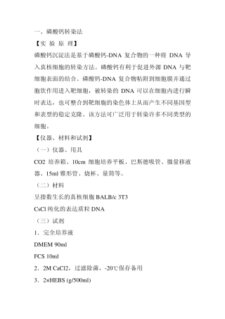 RNA干扰步骤