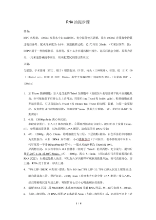 RNA抽提与反转录步骤x