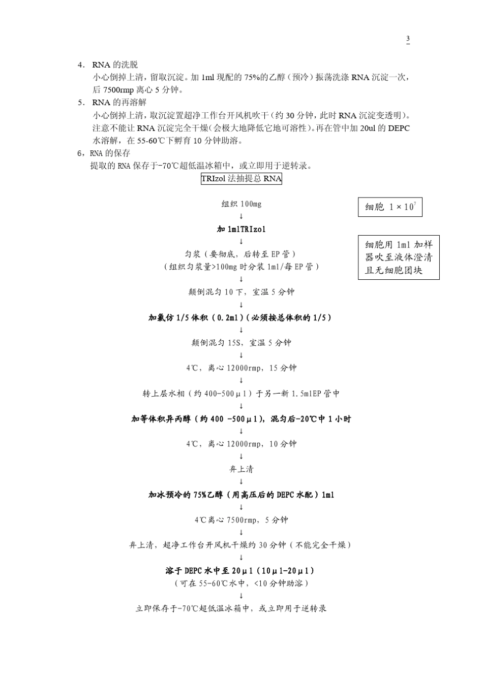 RNA抽提到电泳步骤_第3页