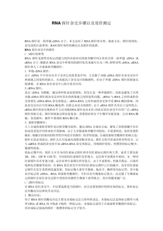 RNA探针杂交步骤以及效价测定