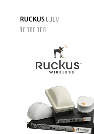 Ruckus美国优科无线产品介绍大全