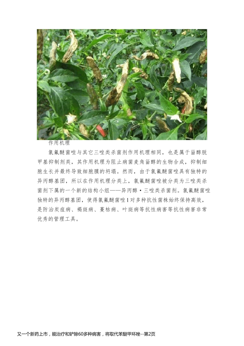 又一个新药上市，能治疗和铲除60多种病害，将取代苯醚甲环唑_第2页