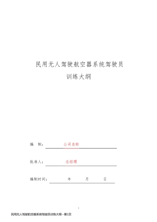 民用无人驾驶航空器系统驾驶员训练大纲