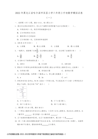 小升初模拟试卷-2021-2022学年数学六年级下册(黑龙江省哈尔滨市宾县)