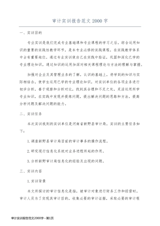 审计实训报告范文2000字