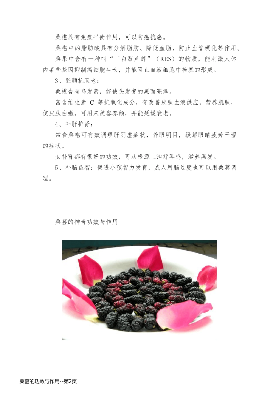 桑葚的功效与作用_第2页