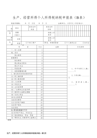 生产、经营所得个人所得税纳税申报表(B表)