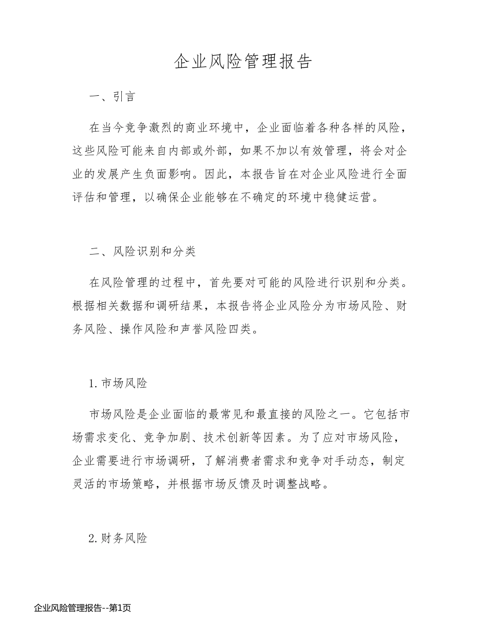 企业风险管理报告_第1页