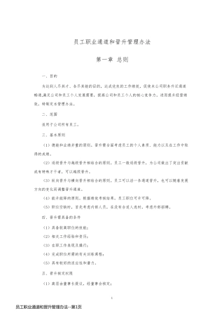 员工职业通道和晋升管理办法