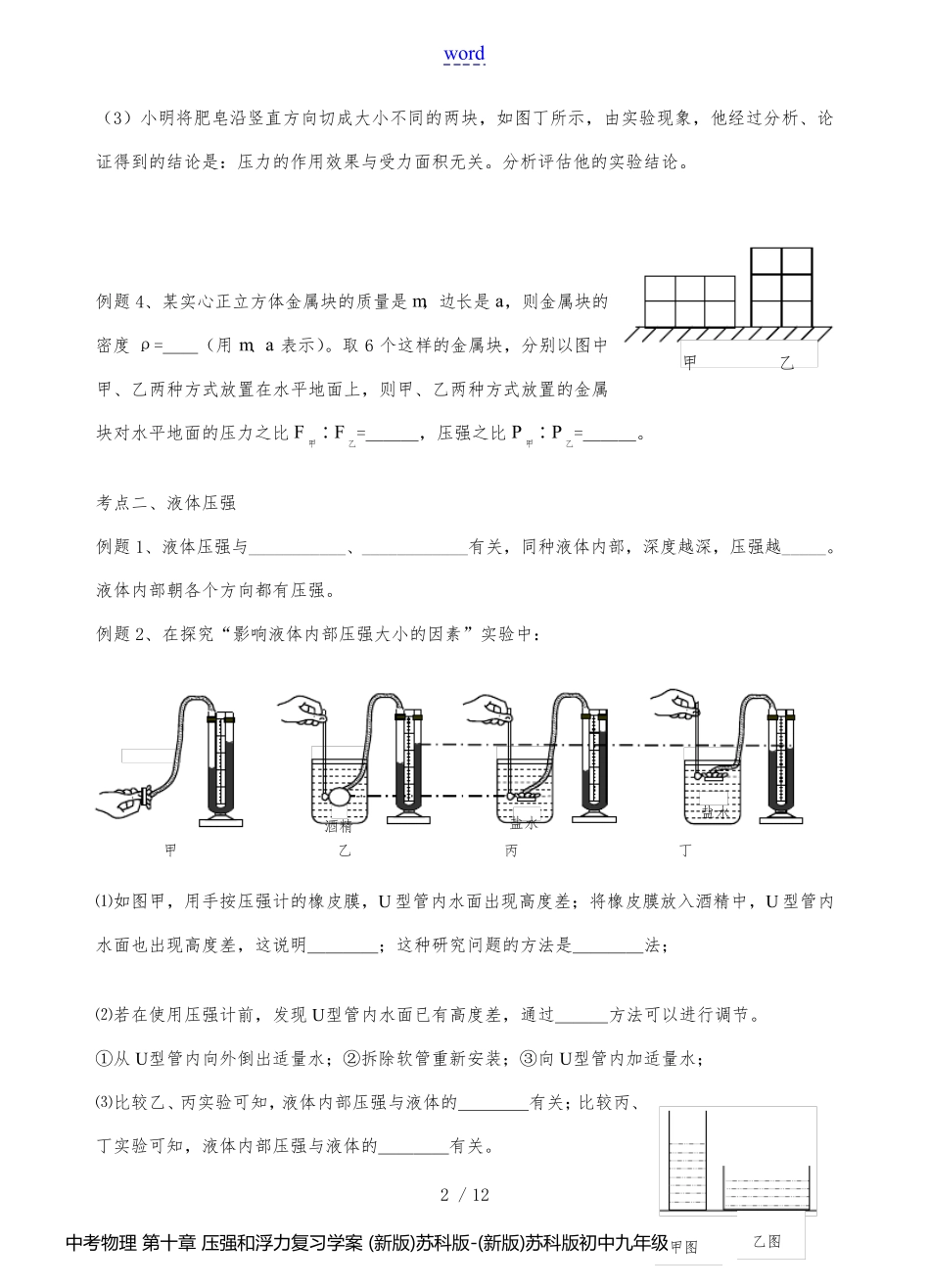 中考物理 第十章 压强和浮力复习学案 (新版)苏科版-(新版)苏科版初中九年级全册物理学案_第2页