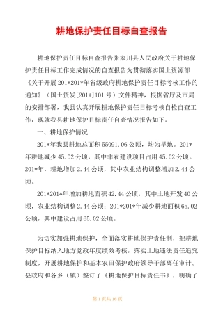 耕地保护责任目标自查报告