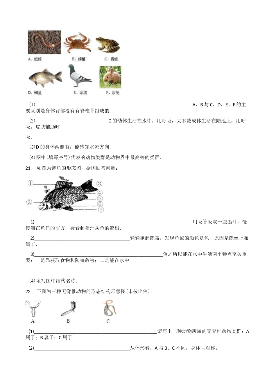 北师大版八年级下册生物 第七单元 第22章 物种的多样性 章末练习题_第3页