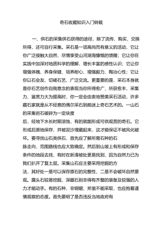 奇石收藏知识入门(转载)