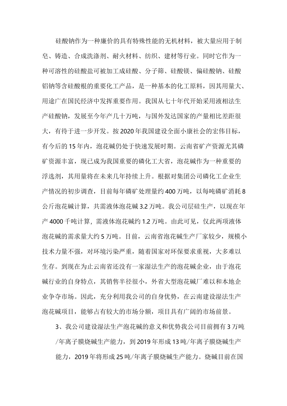 生产项目建议书_第3页