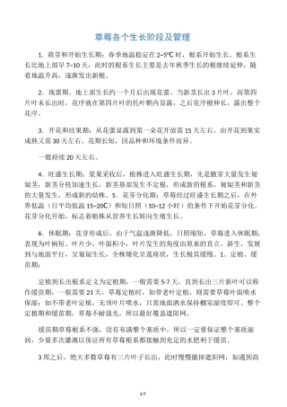 草莓各个生长阶段及管理
