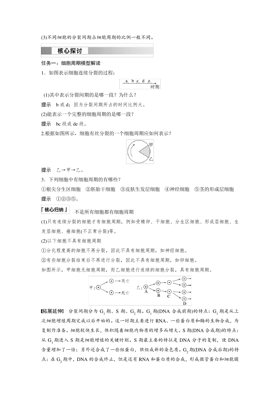 高中生物(必修第一册 人教版)讲义教案：细胞增殖、有丝分裂(含答案)_第2页